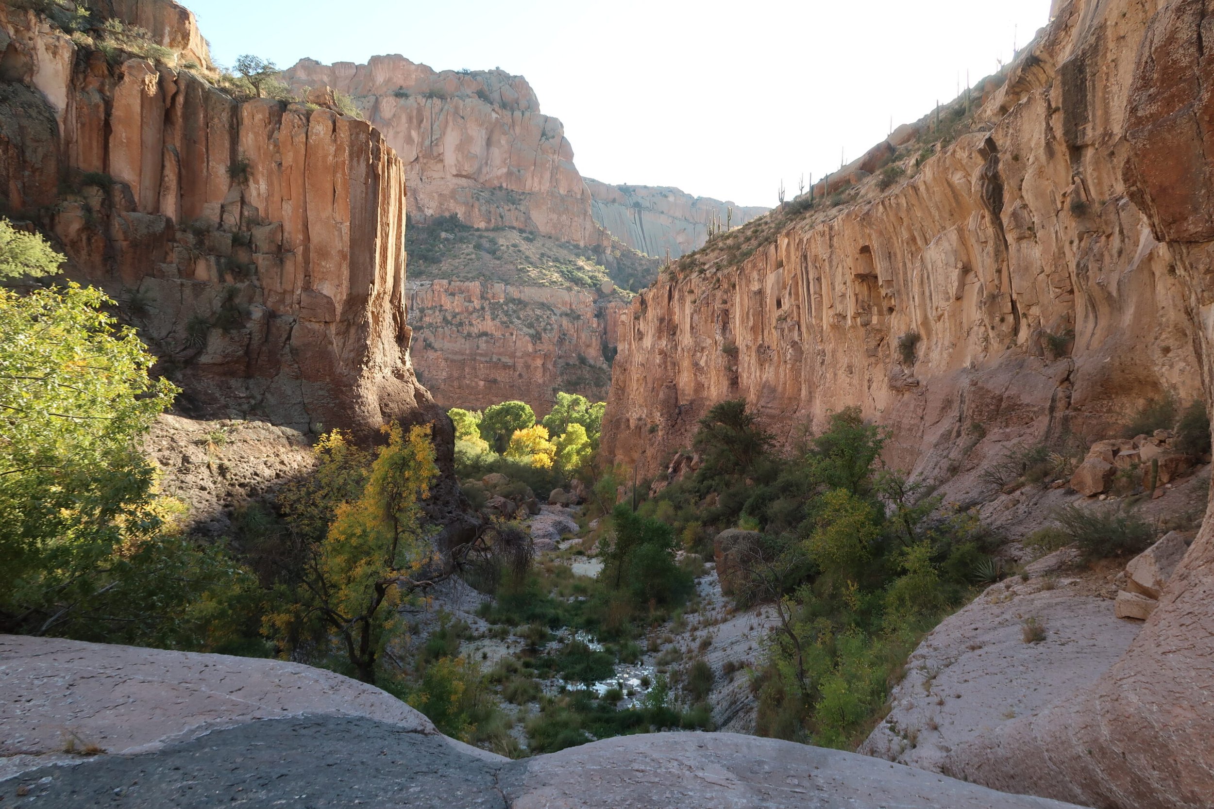 Aravaipa Canyon Wilderness Area.jpg